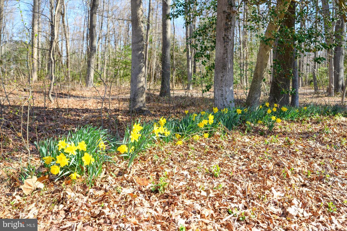 10463 N Beach Hwy Property Photo 14