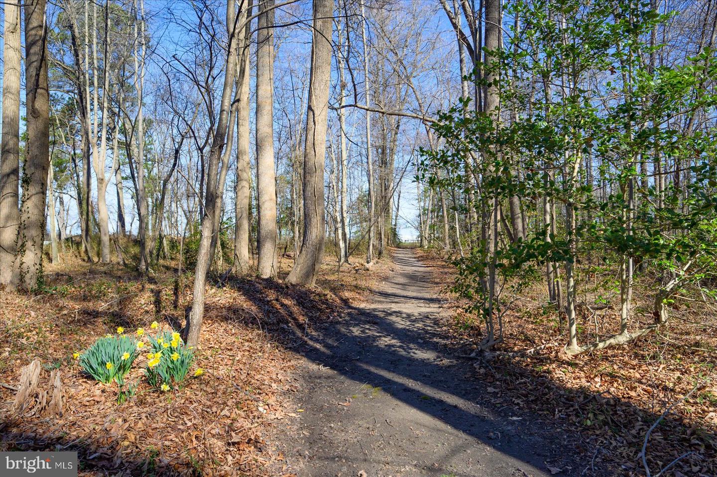 10463 N Beach Hwy Property Photo 18