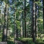 RTE 9 LOT 12 SECLUDED LANE Property Photo 1