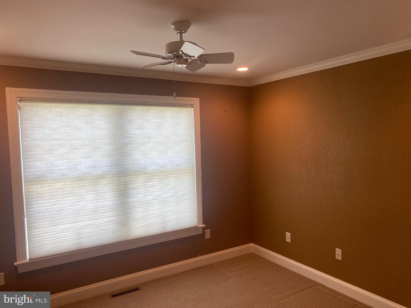 314 E 5th St Property Photo 8