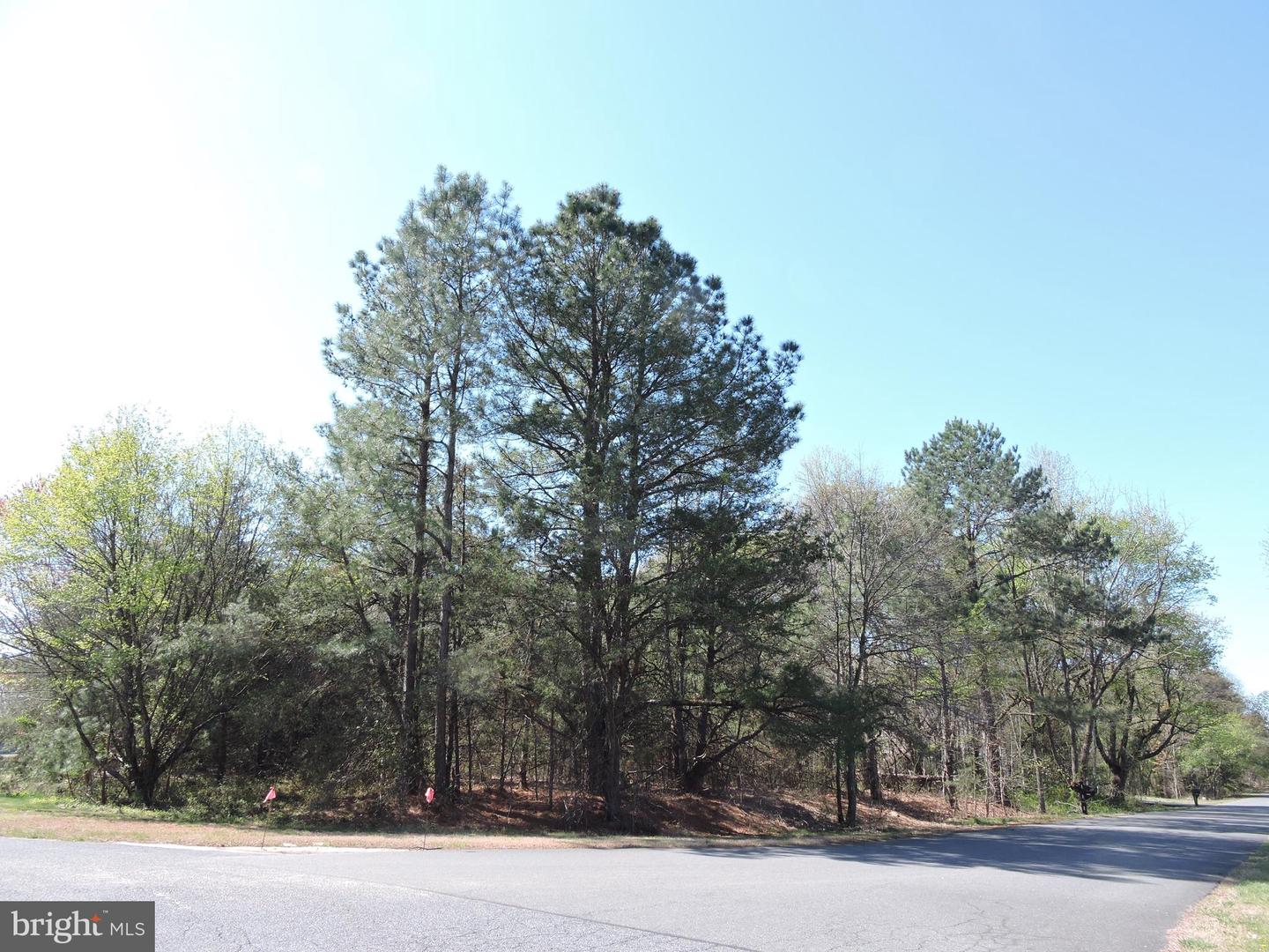 55 Tidewater Dr Property Photo 1