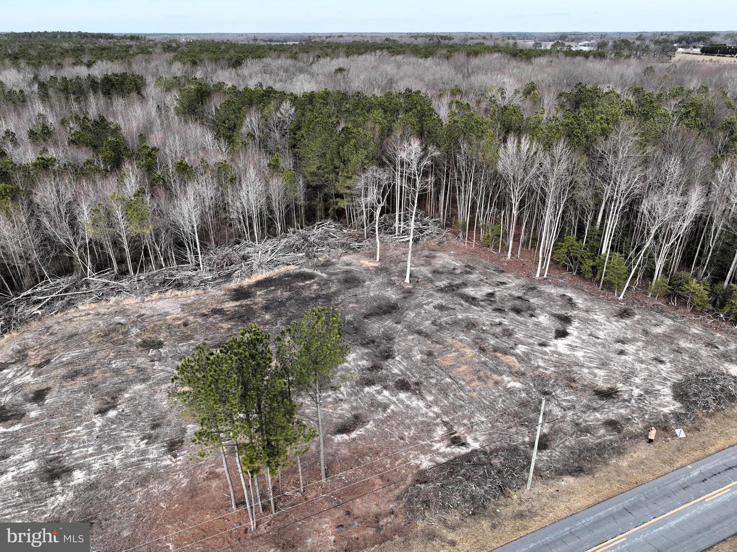 Lot 2 N Union Church Rd Property Photo 2