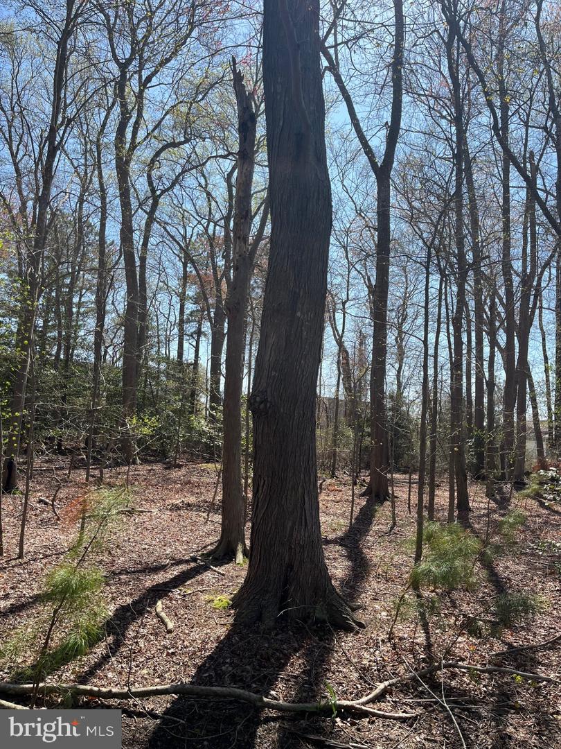 Lot 22 Pine Grove Ln Property Photo 1