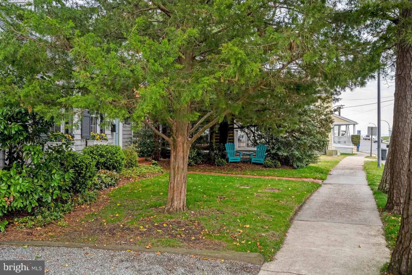 19 Laurel St Property Photo 6