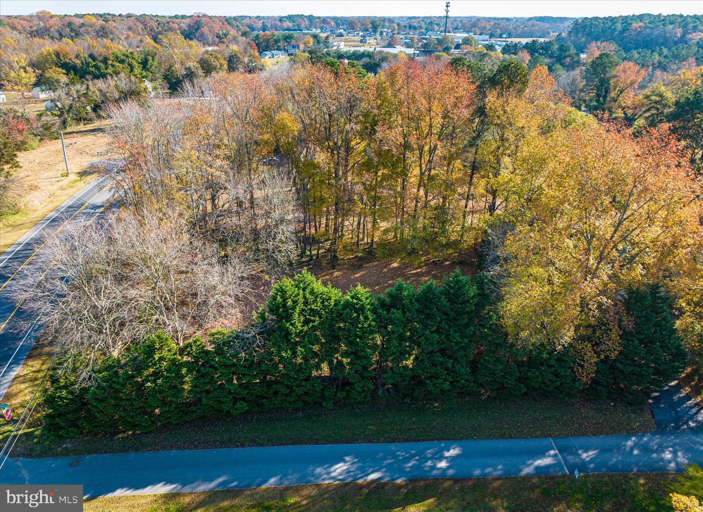 Lot 1 Diane Rd Property Photo 2