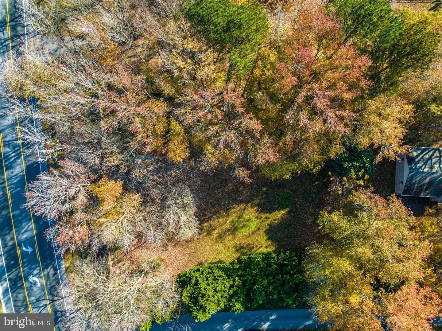 Lot 1 Diane Rd Property Photo 3
