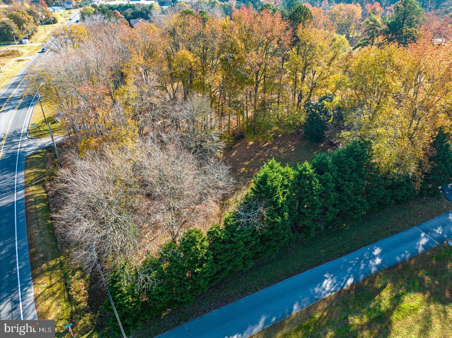 Lot 1 Diane Rd Property Photo 4