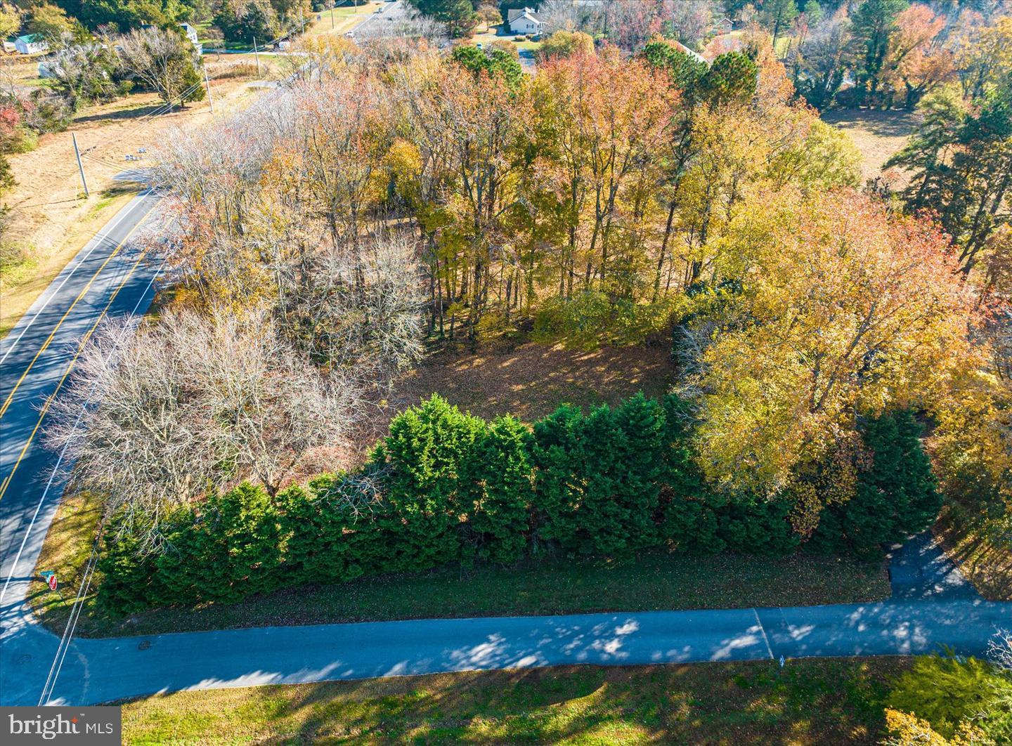 Lot 1 Diane Rd Property Photo 6