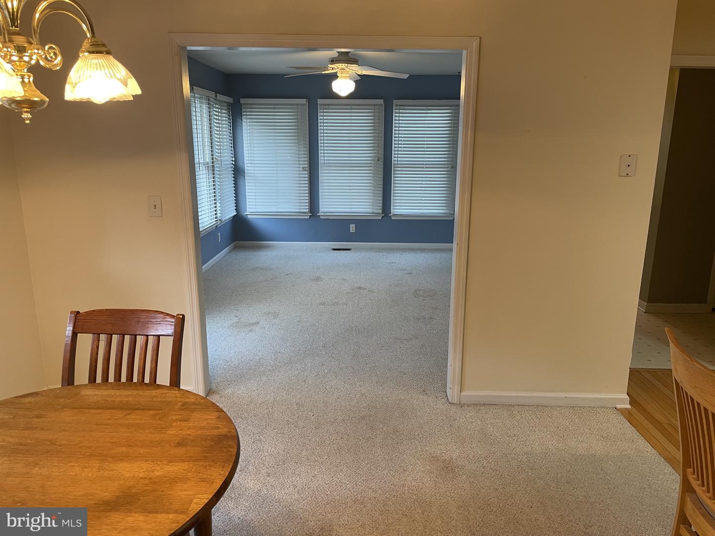 30020 Overbrook Dr Property Photo 28