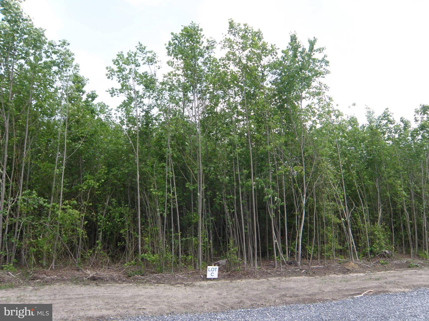 Lot C - 133-9.00-9.18 EASEMENT OFF OF SHORTLY RD Property Photo 1