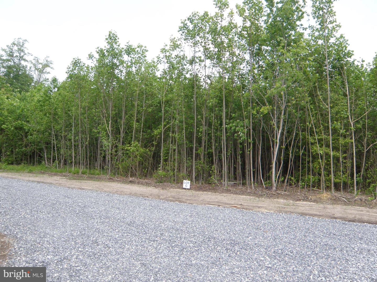 Lot C - 133-9.00-9.18 Easement Off Of Shortly Rd Property Photo 2