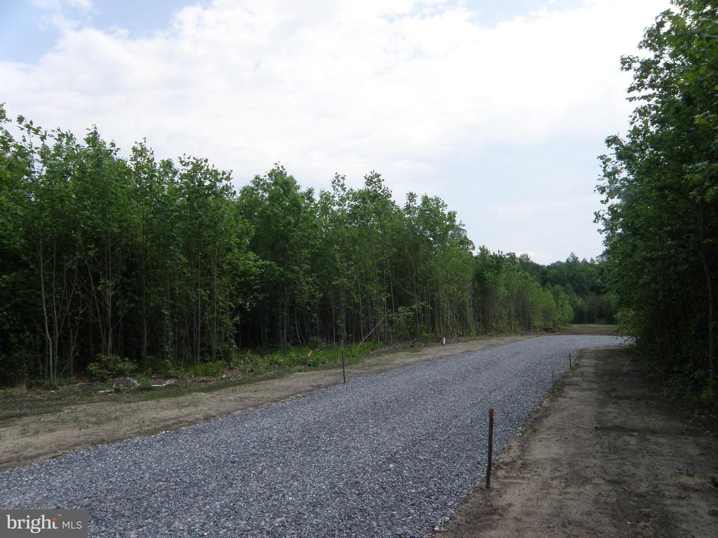 Lot C - 133-9.00-9.18 Easement Off Of Shortly Rd Property Photo 3