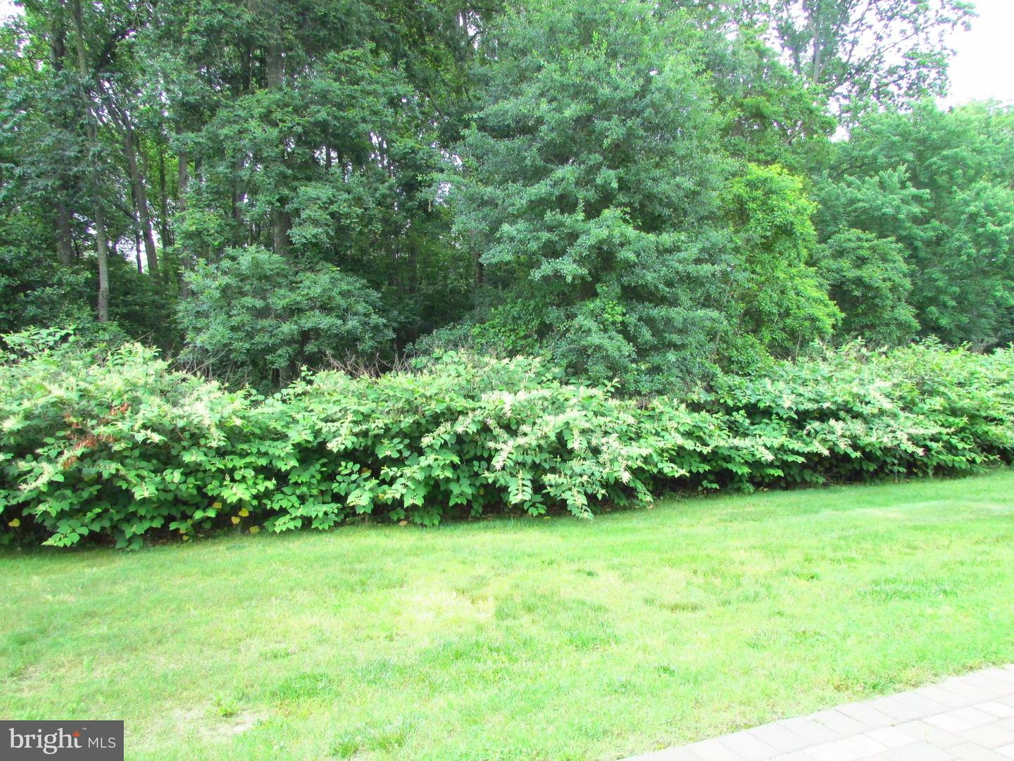 114 Bobbys Branch Rd #85 Property Photo 22