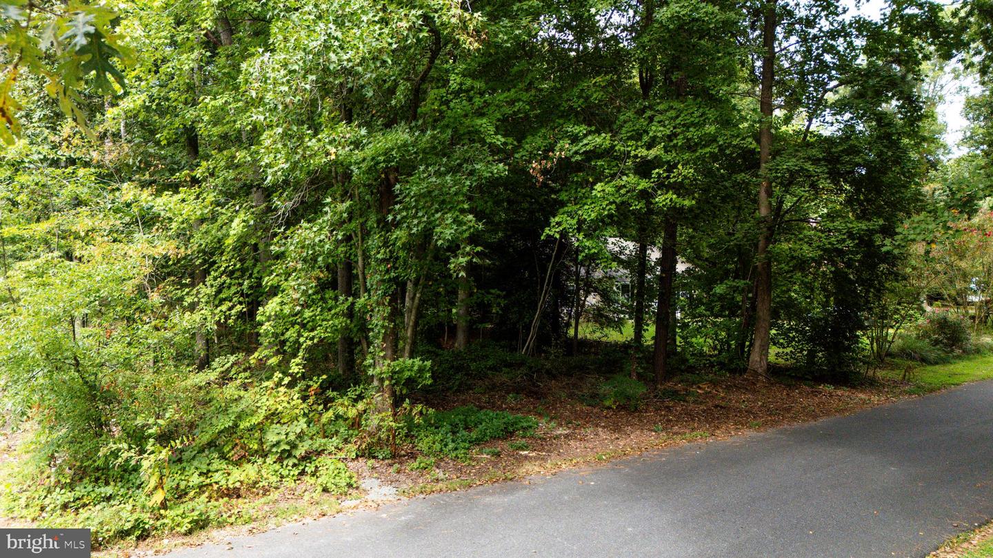 Blackwater Vlg Lot 1 Blk Indian Queen Ln Property Photo 19