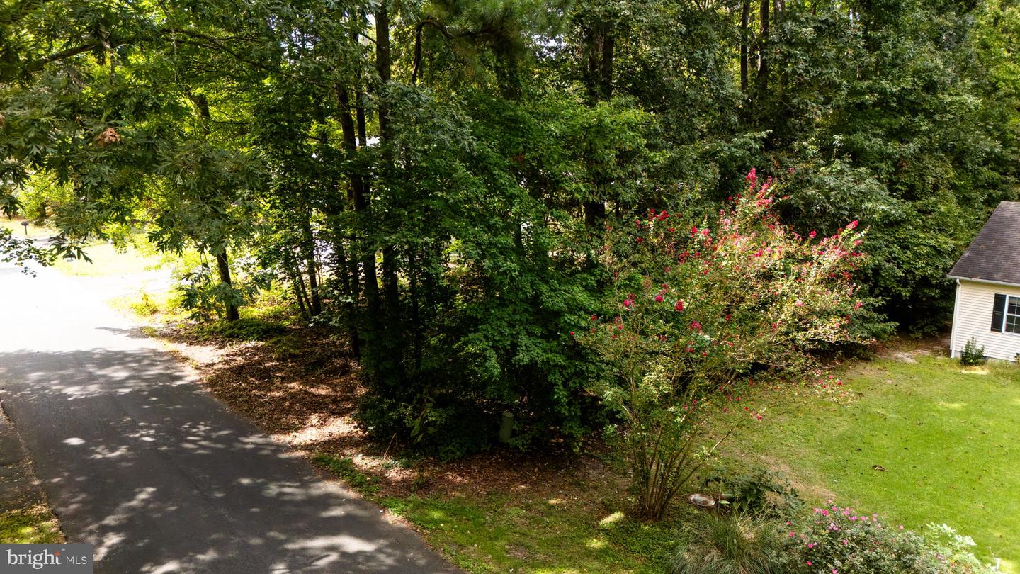 Blackwater Vlg Lot 1 Blk Indian Queen Ln Property Photo 20