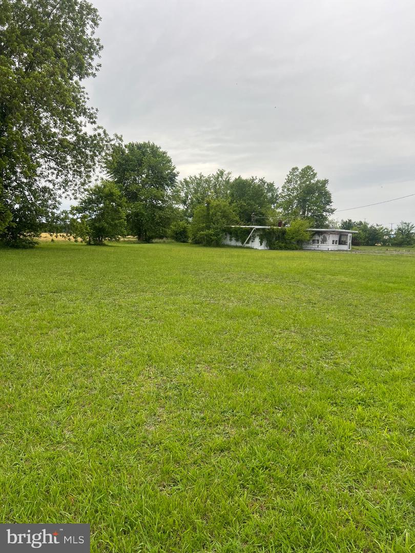 33343 & 33355 Main St Property Photo 9