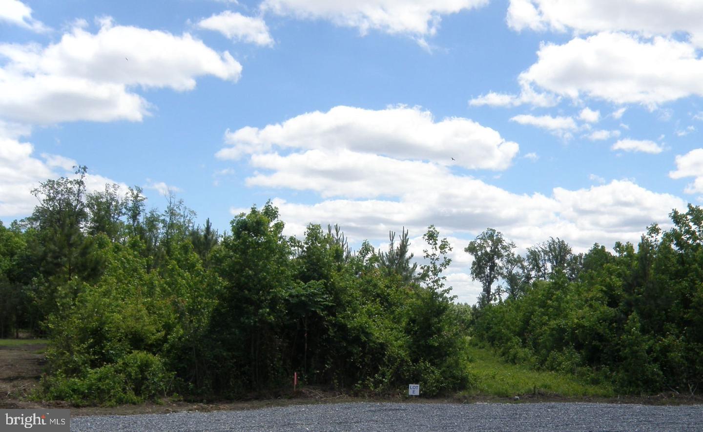 Lot E 133-9.00-9.15 Lot E 133-9.00-9.15 On Easement Off Of Short Property Photo 1