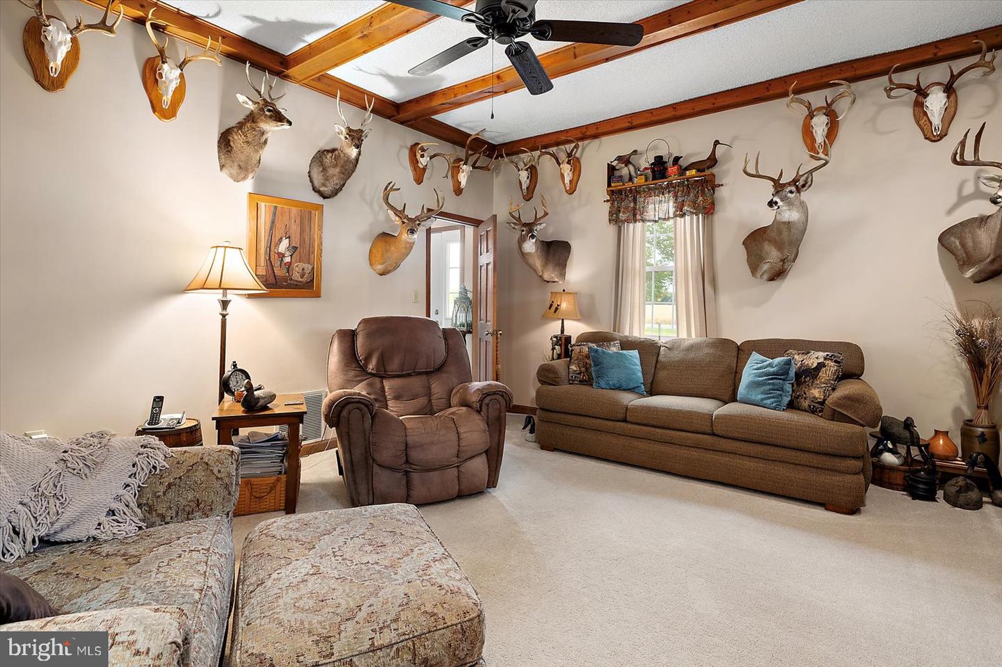 8807 Woodland Ferry Rd Property Photo 15