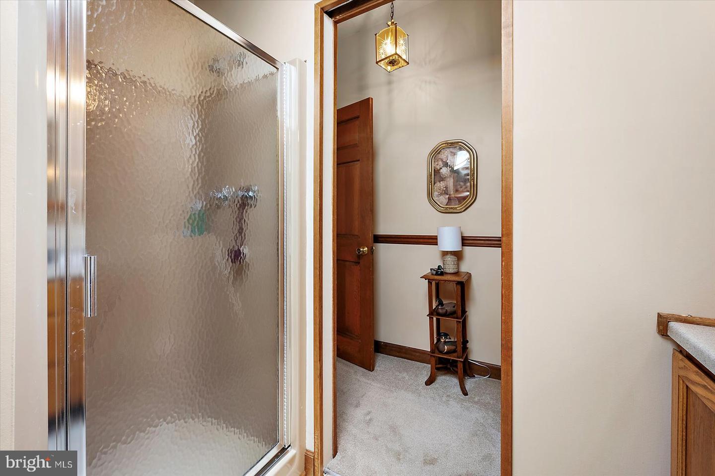 8807 Woodland Ferry Rd Property Photo 52