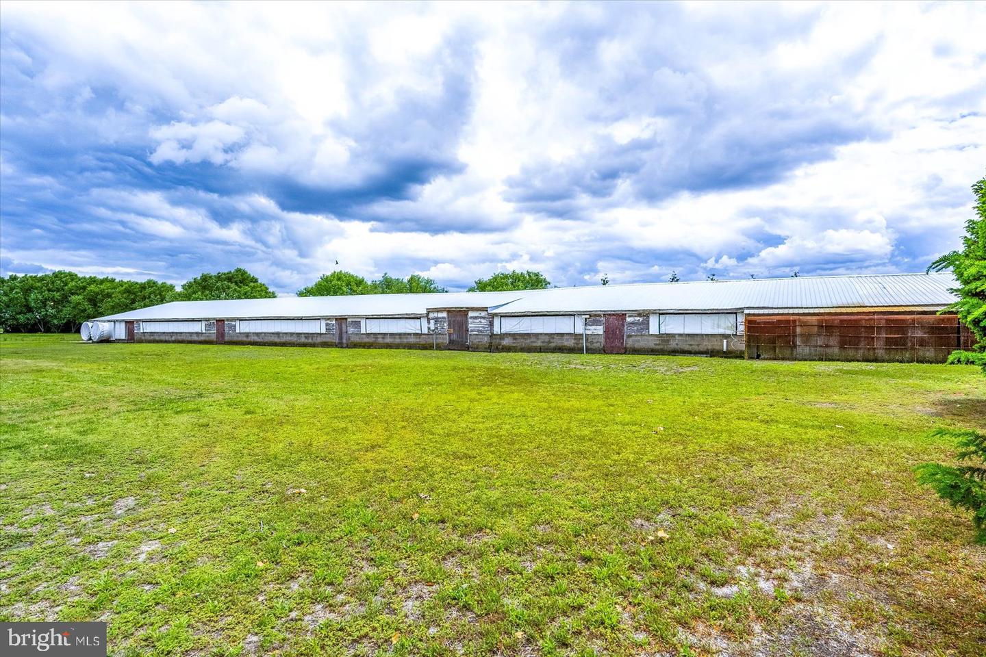 8807 Woodland Ferry Rd Property Photo 81