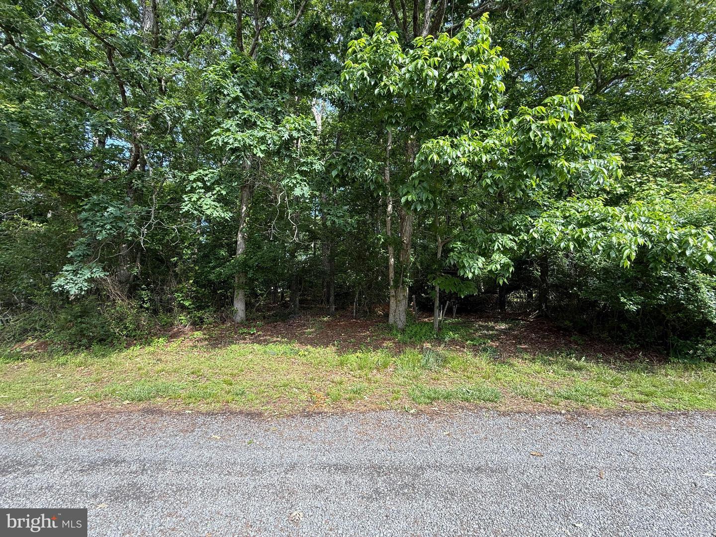 0 2nd St #lot 14 Property Photo 6