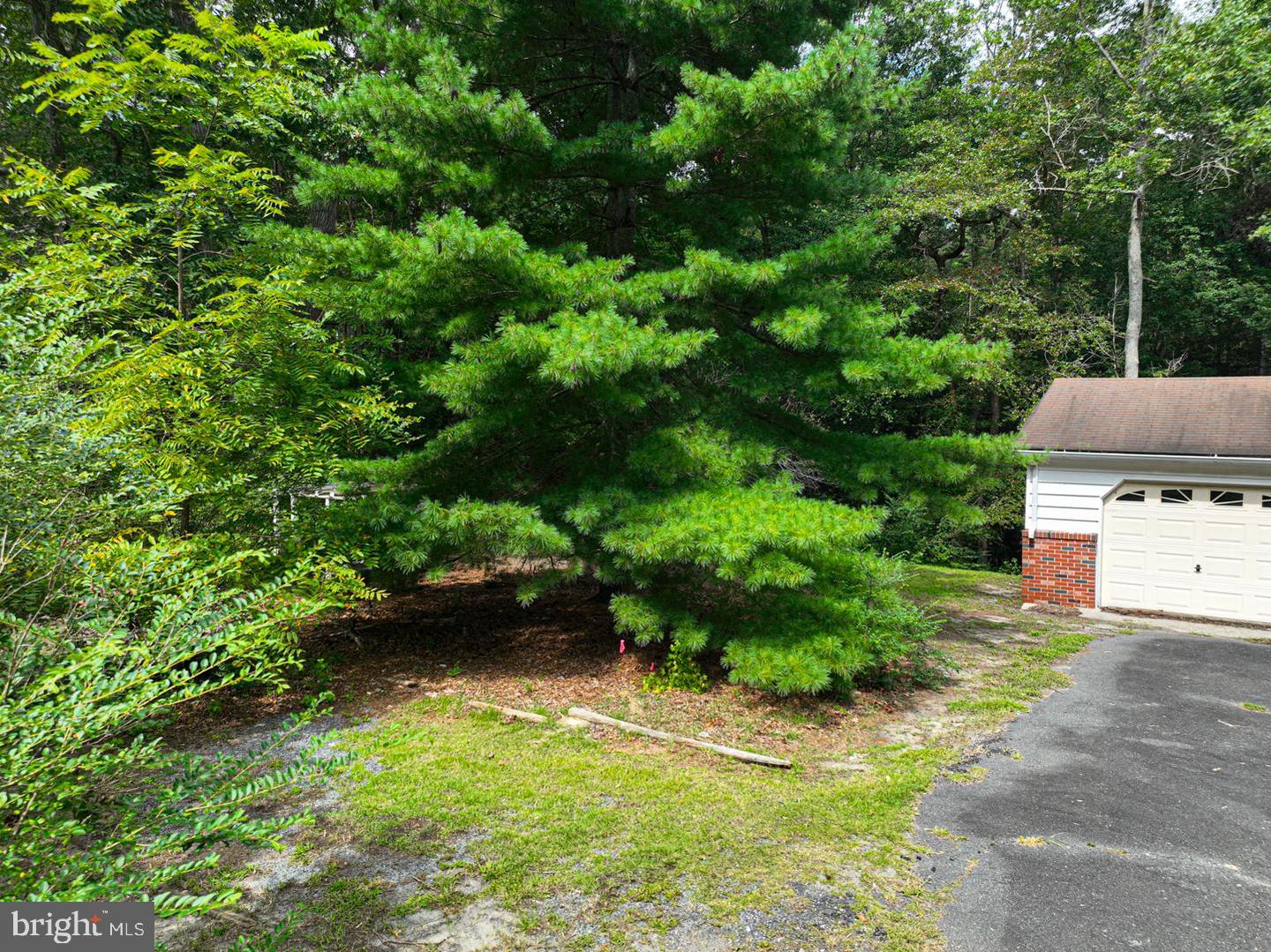 10883 Old Furnace Rd Property Photo 5