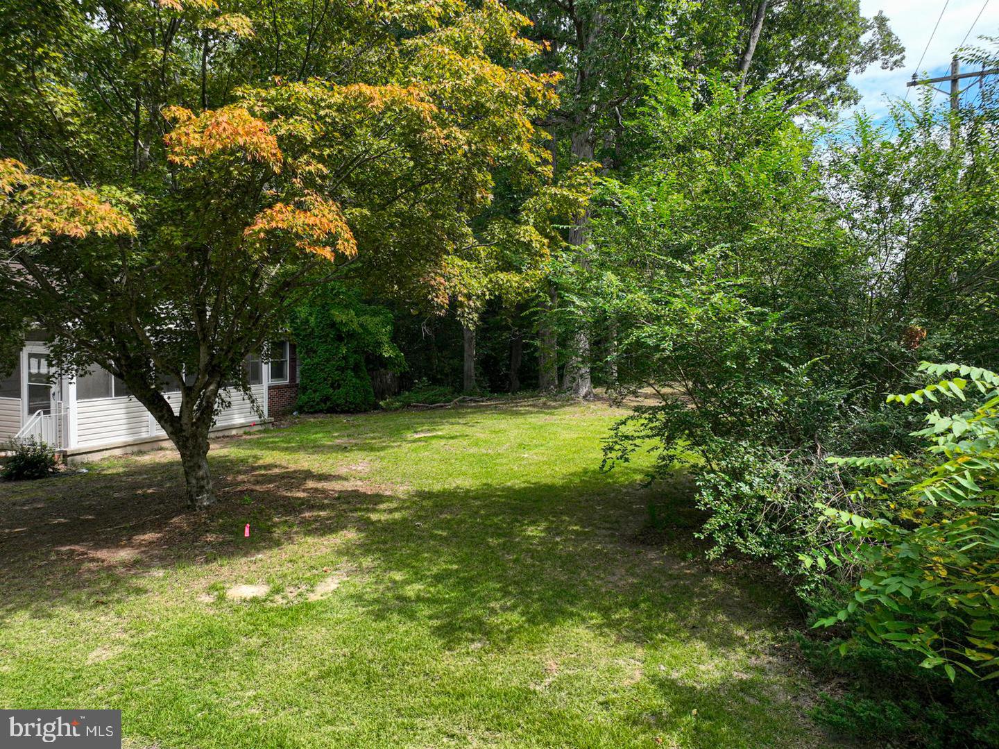 10883 Old Furnace Rd Property Photo 11