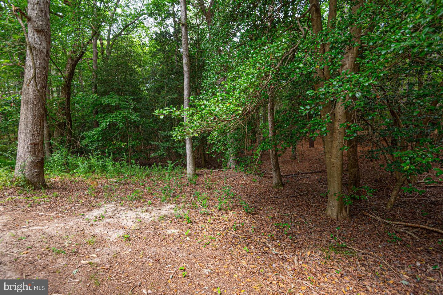 10883 Old Furnace Rd Property Photo 14