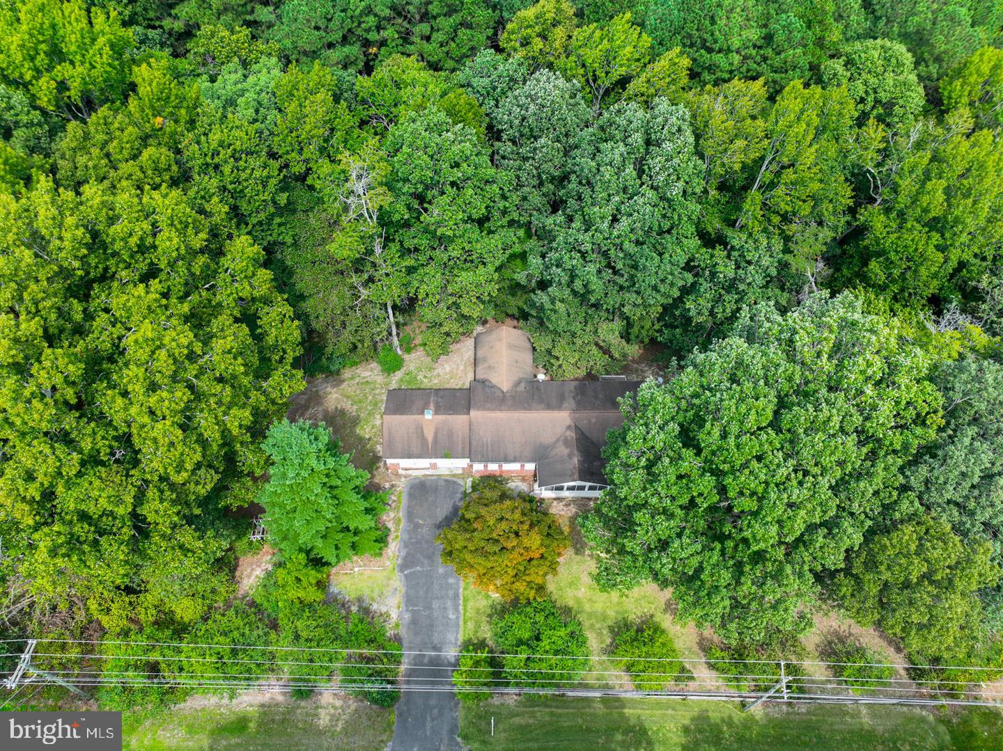 10883 Old Furnace Rd Property Photo 16