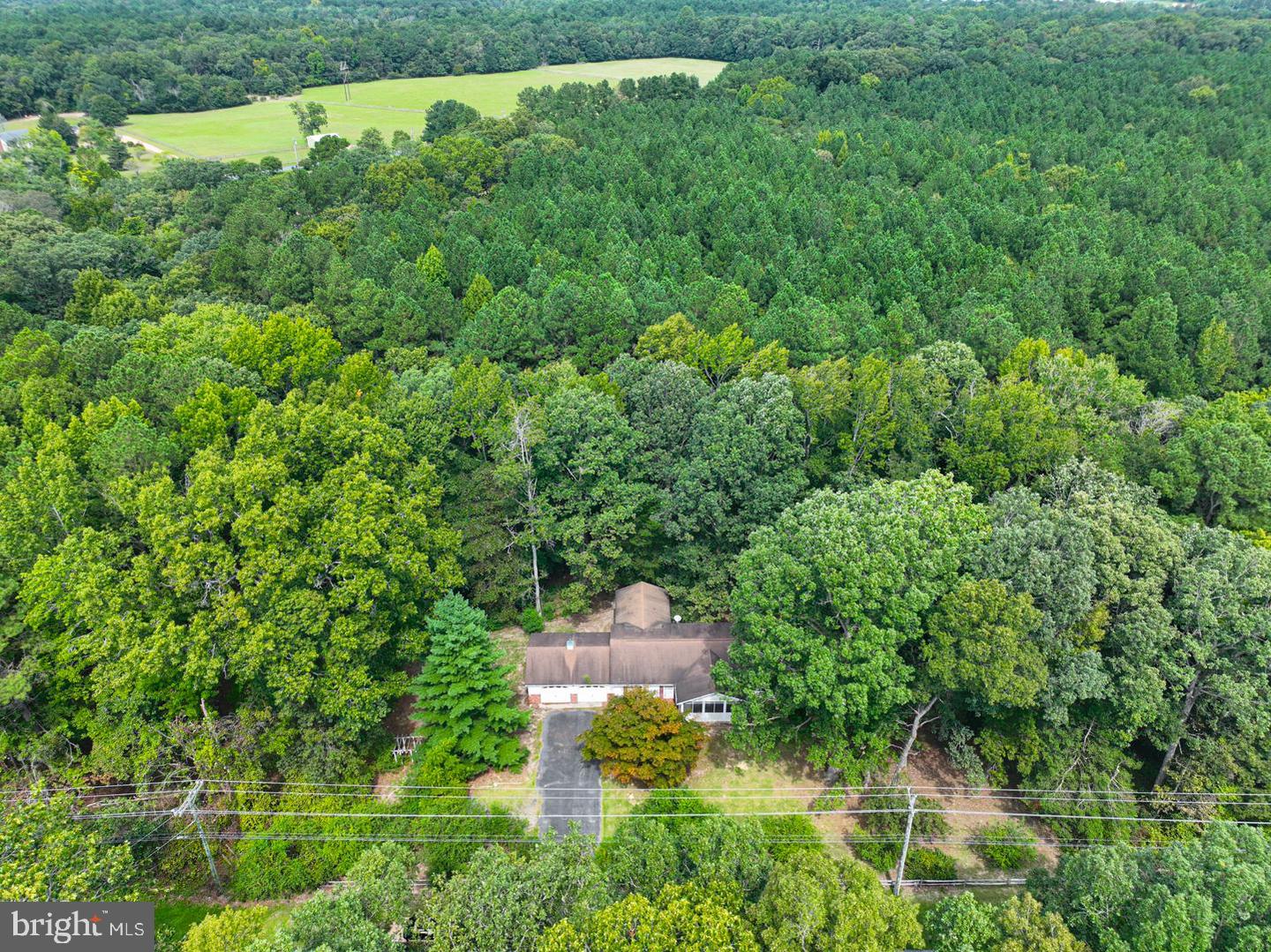 10883 Old Furnace Rd Property Photo 17
