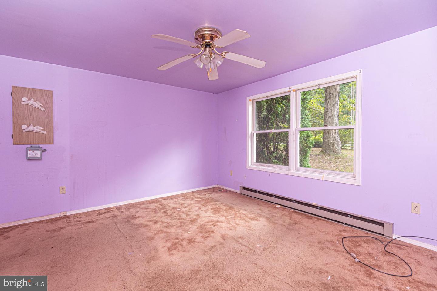 10883 Old Furnace Rd Property Photo 31
