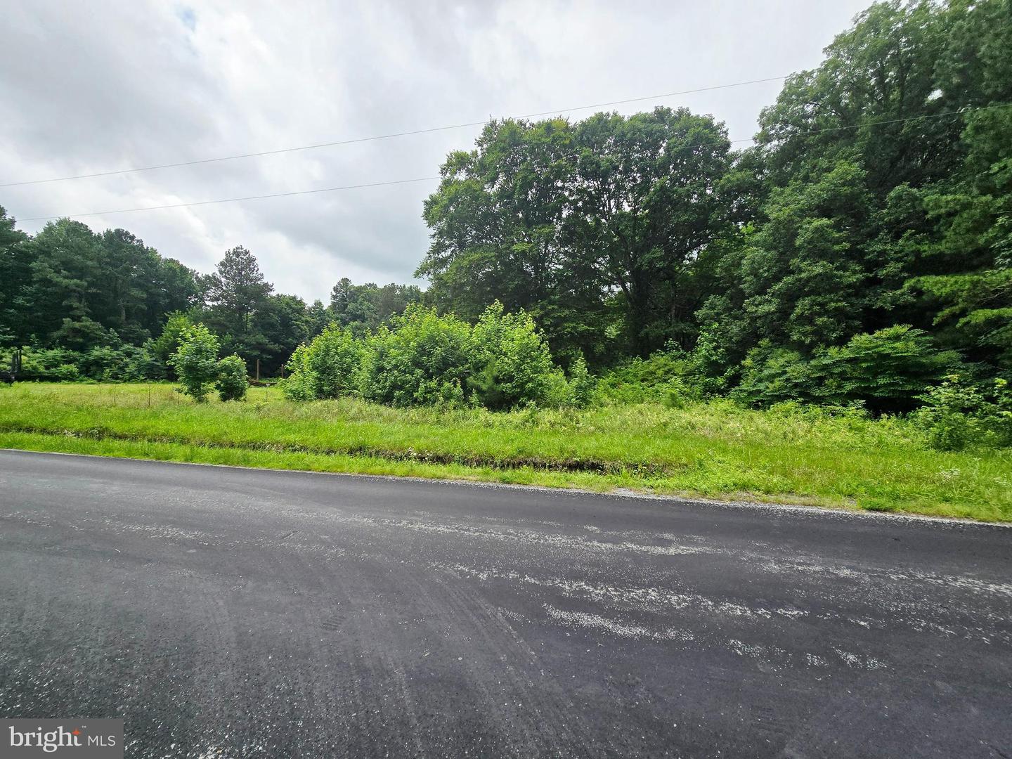 LOT 1 WHITNEY SWAMP RD