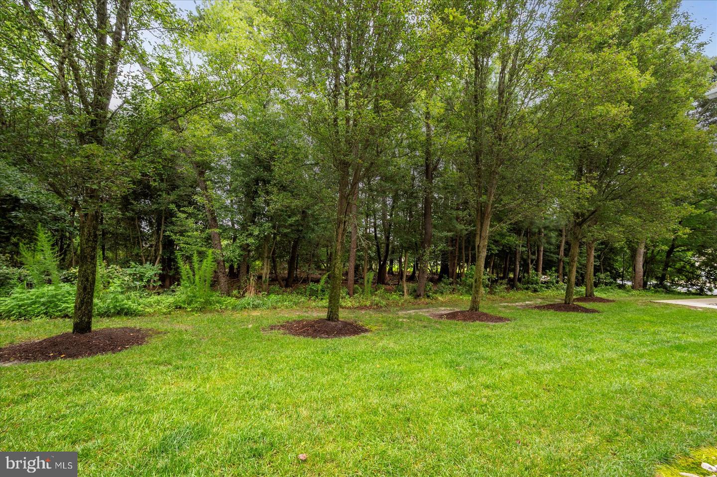 30611 Cedar Neck Rd #2107 Property Photo 33