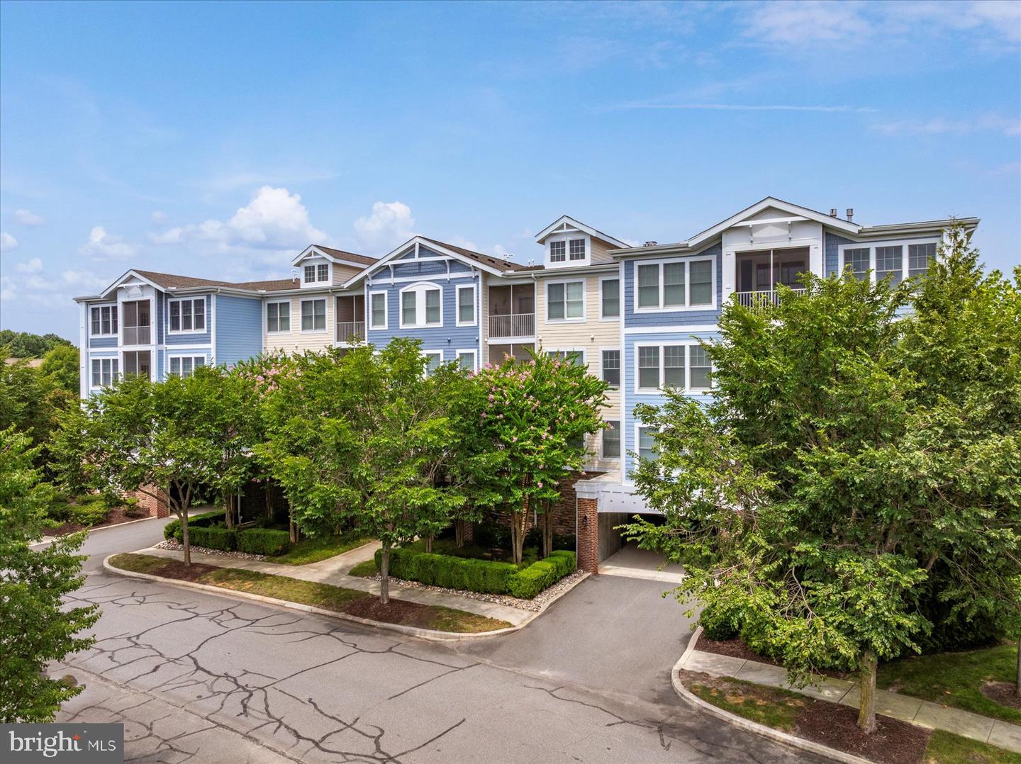 31574 Winterberry Pkwy #109 Property Photo 3