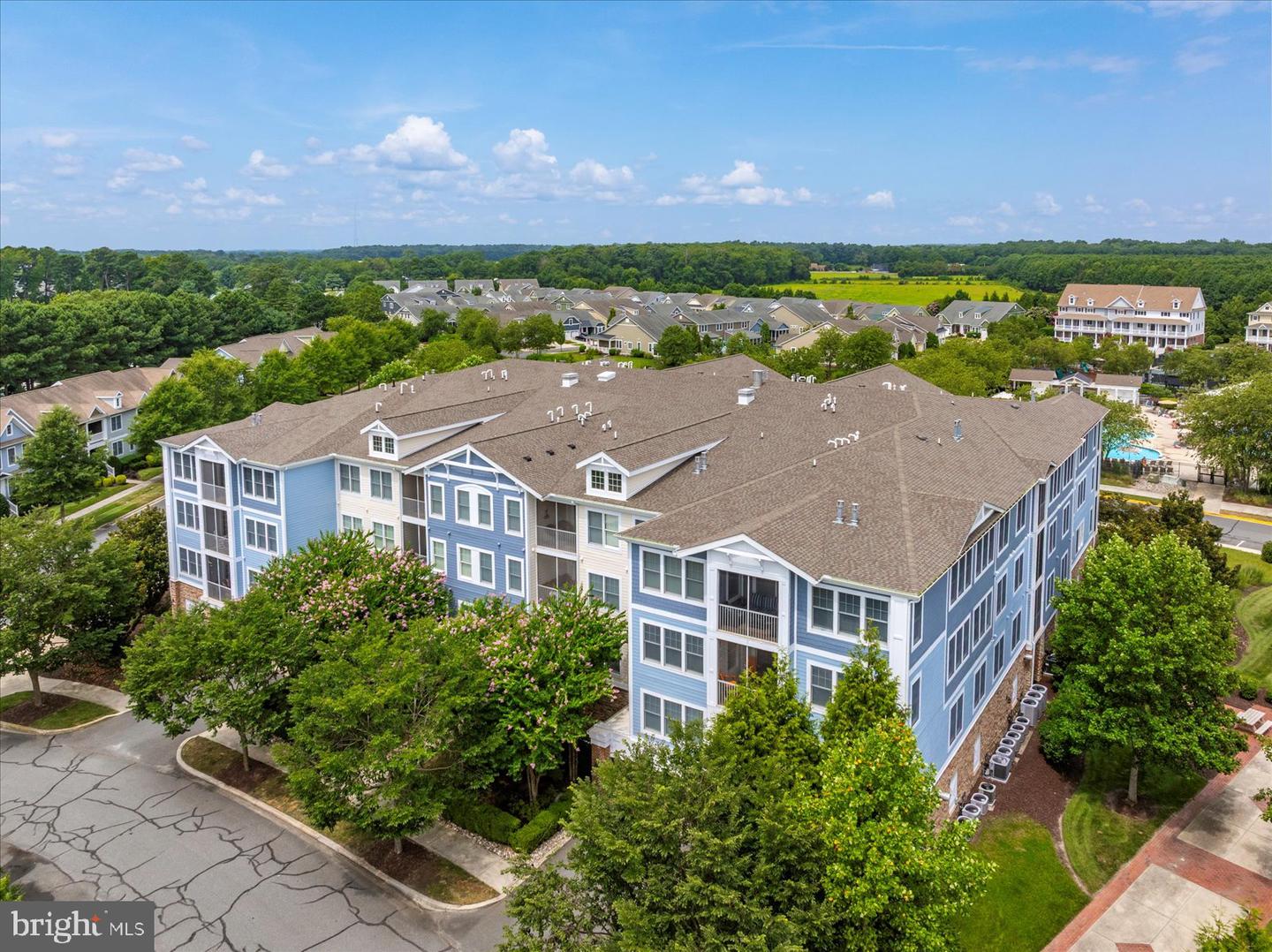 31574 Winterberry Pkwy #109 Property Photo 4