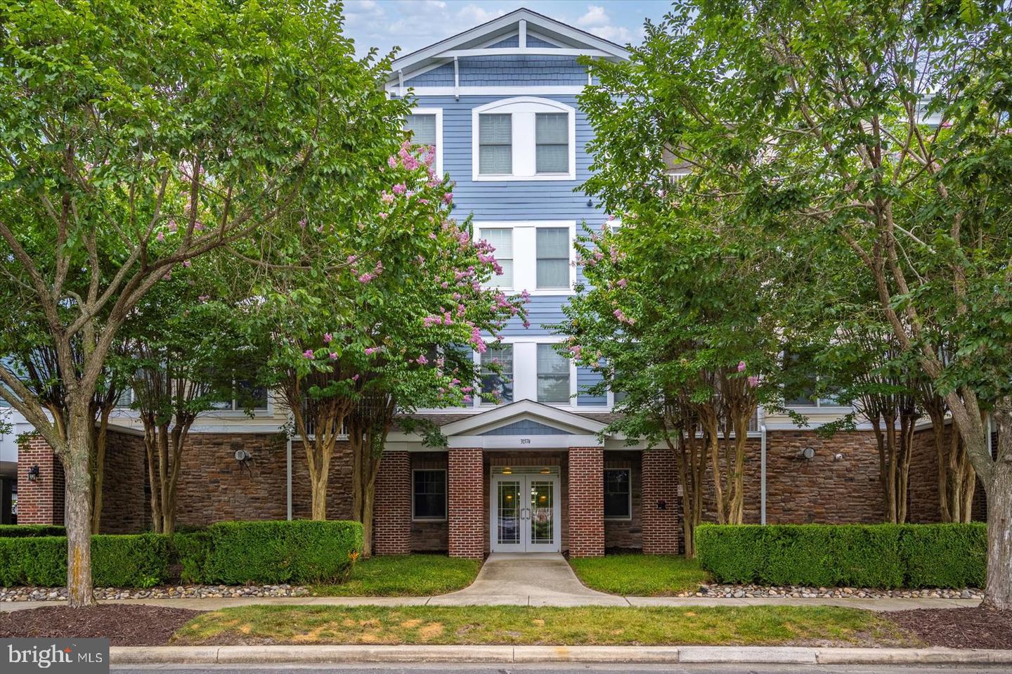 31574 Winterberry Pkwy #109 Property Photo 57