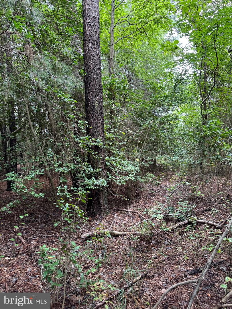0 Wilson Rd Property Photo 12
