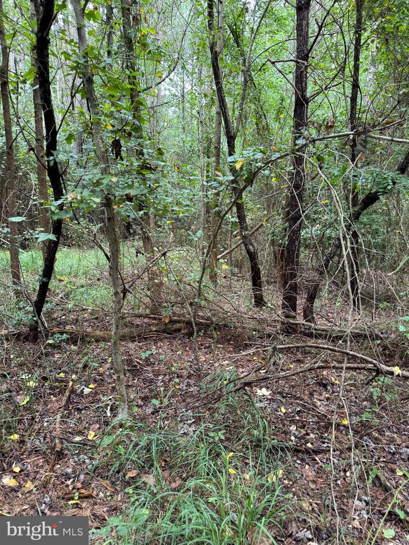 0 Wilson Rd Property Photo 14