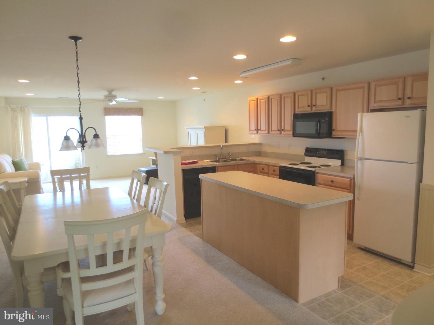 17293 KING PHILLIP WAY #13 Property Photo 1