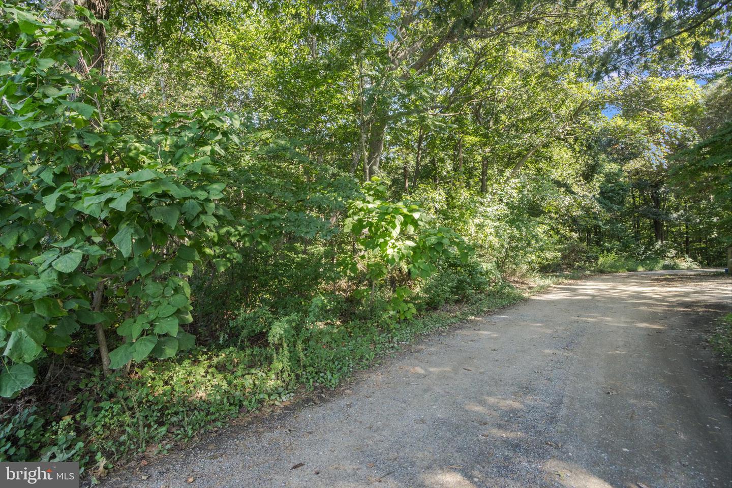 Lot 1 Watson Dr Property Photo 17