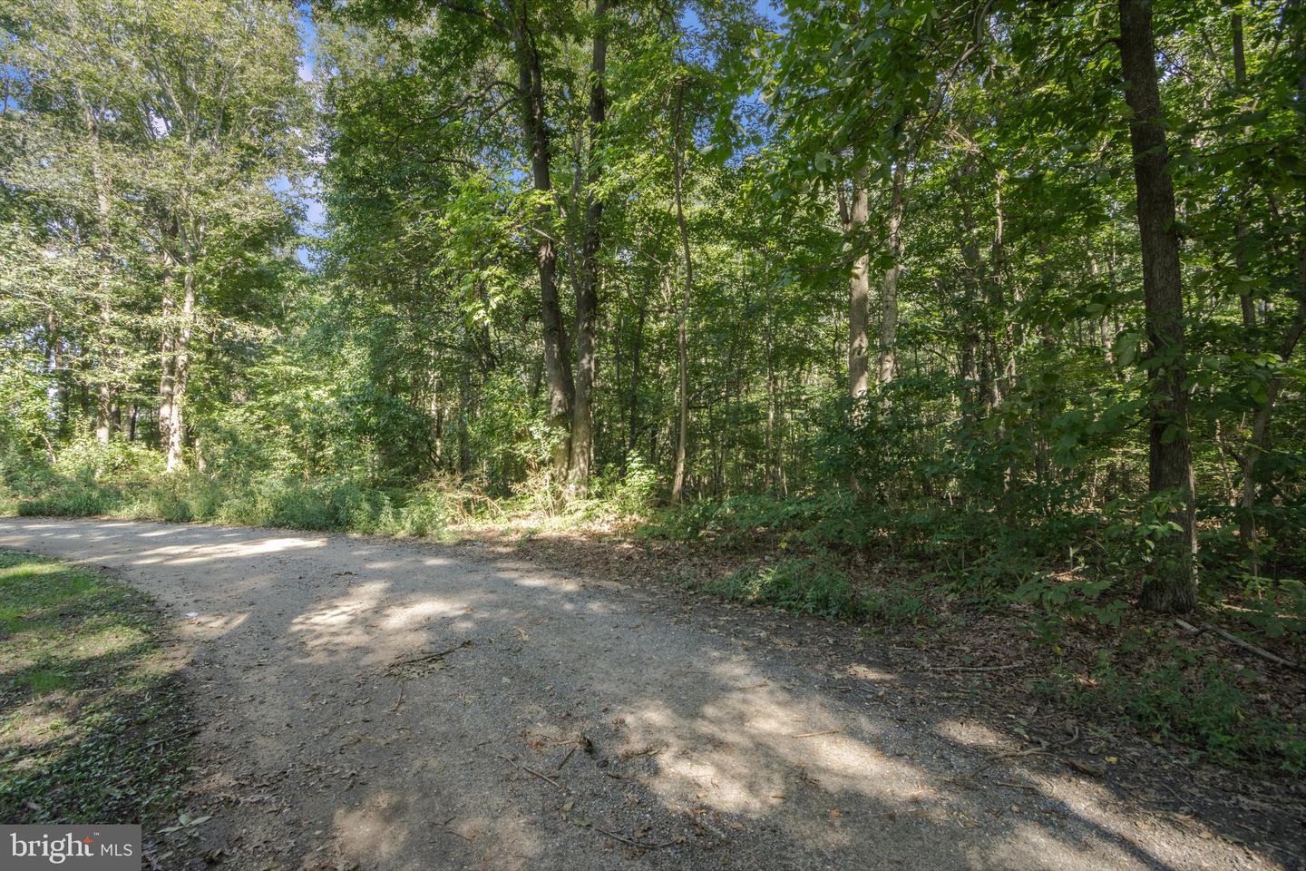 Lot 1 Watson Dr Property Photo 18