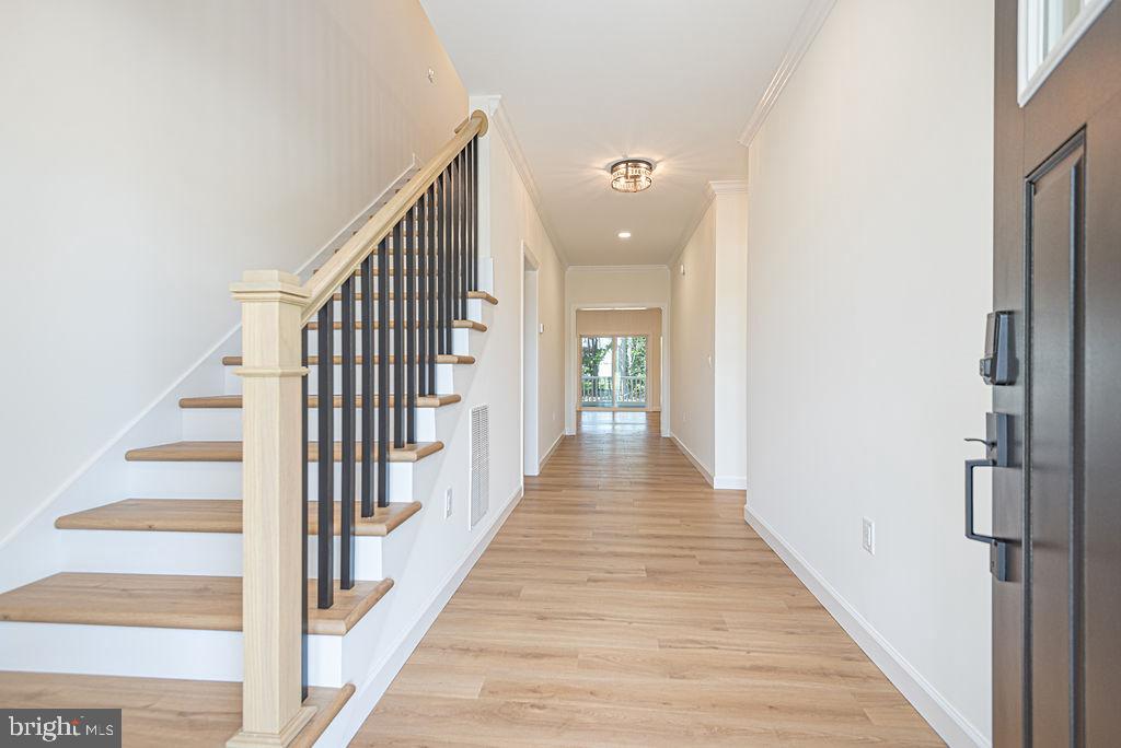 29687 Piney Neck Rd Property Photo 6