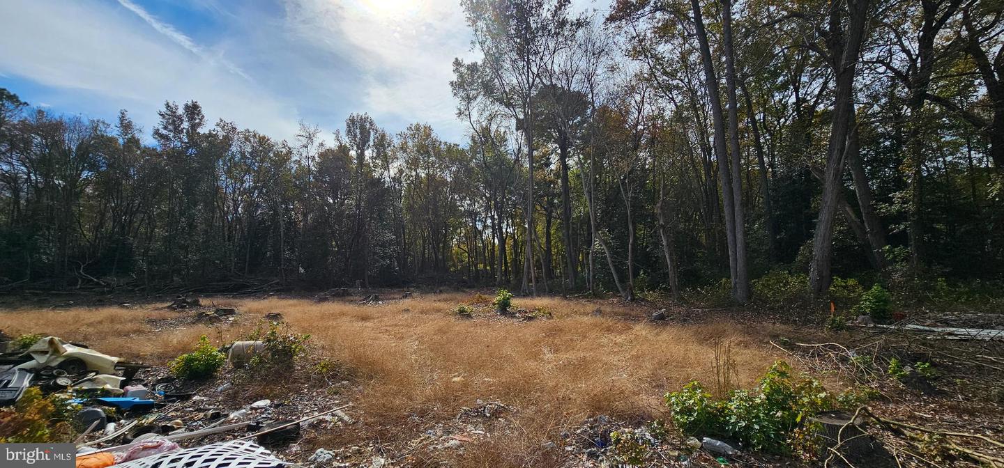 Lot 12 Northwood Acres Benjamin Ave Property Photo 1