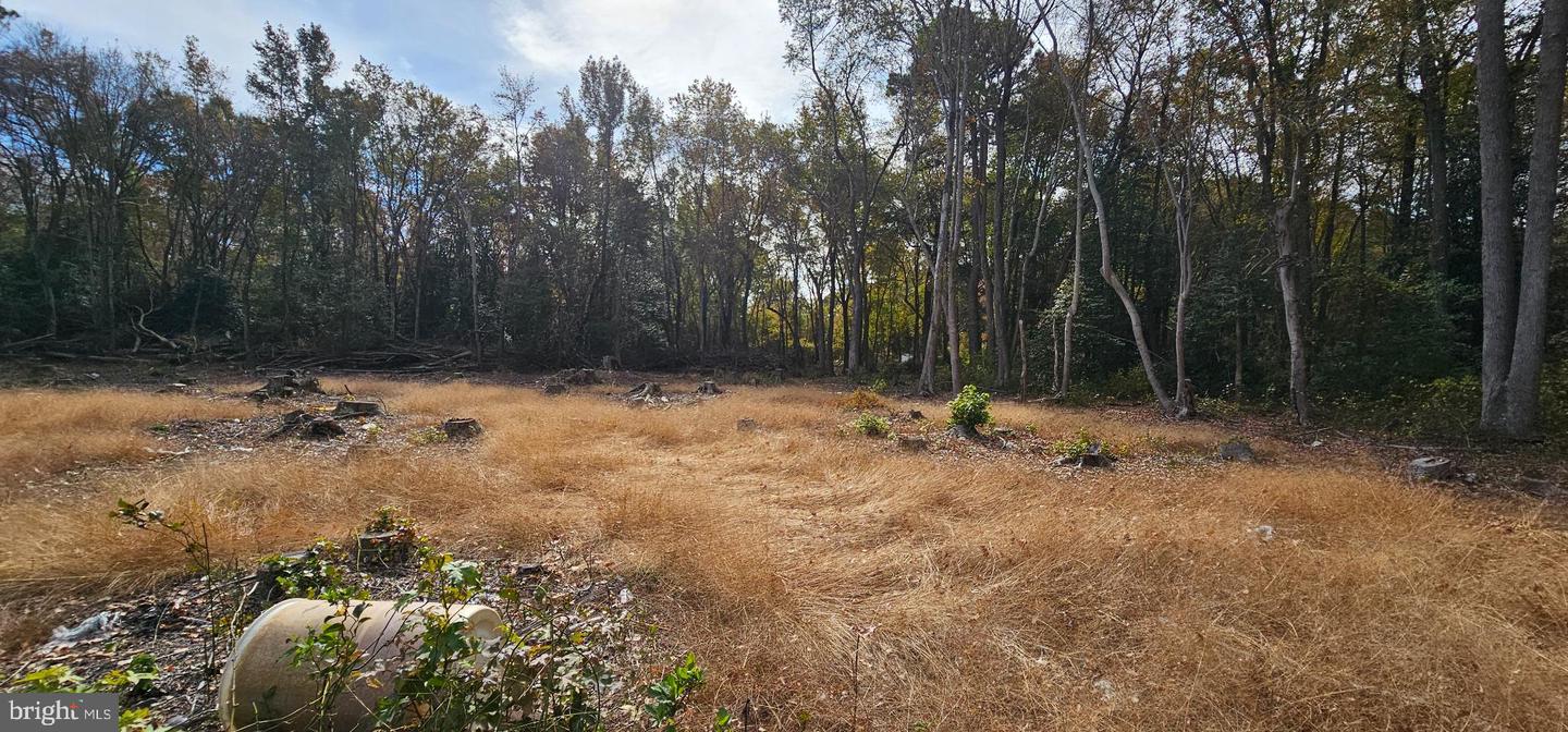 Lot 12 Northwood Acres Benjamin Ave Property Photo 2
