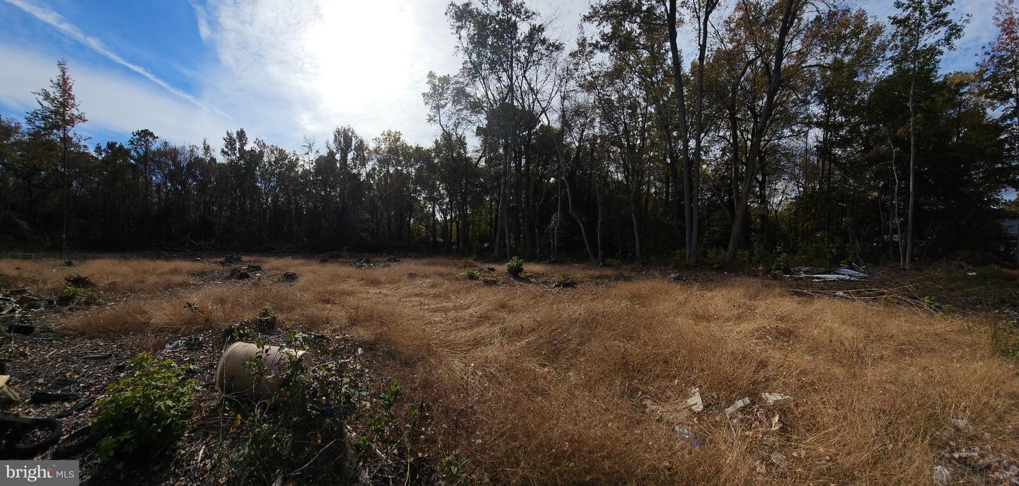 Lot 12 Northwood Acres Benjamin Ave Property Photo 3