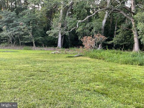 0 Lighthouse Road Property Photo 5