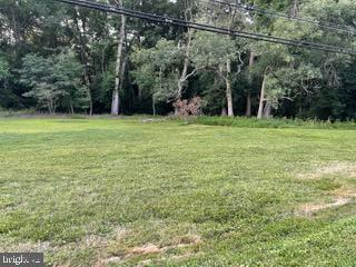 0 Lighthouse Road Property Photo 11