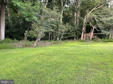 0 Lighthouse Road Property Photo 16