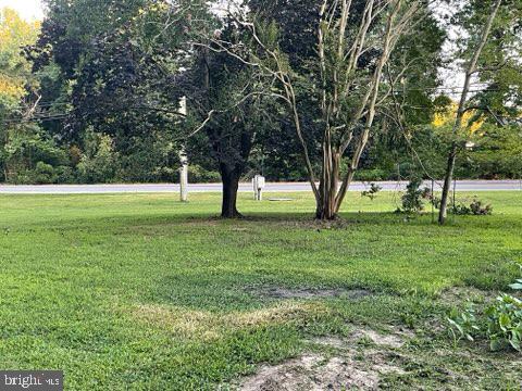 0 Lighthouse Road Property Photo 17