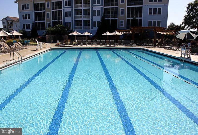 31568 Winterberry Pkwy #104 Property Photo 74